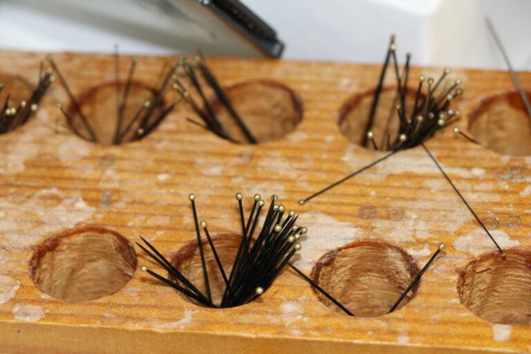 Steel entomology pins covered with black enamel are the best choice for an insect collection.