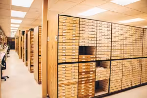 Rows of cases with drawers containing pinned specimens